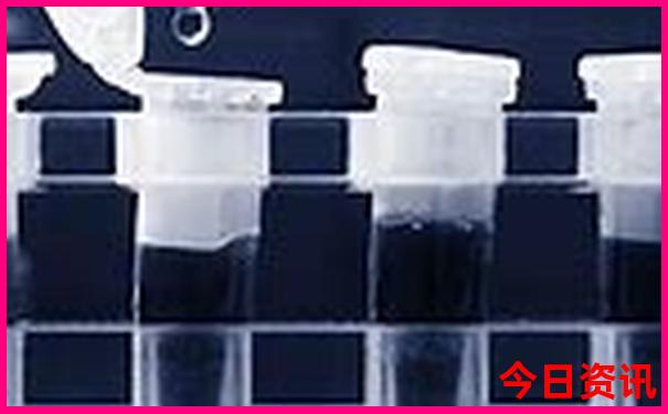 夏季在西湖游玩能欣赏到哪种风光